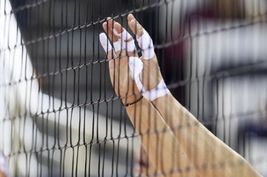 Yunan Voleybol Ligi paok rakip Olympiakos