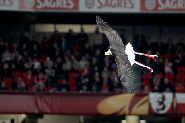 BENFICA SL VS PAOK THESSALONIKI UEFA EUROPA LEAGUE
