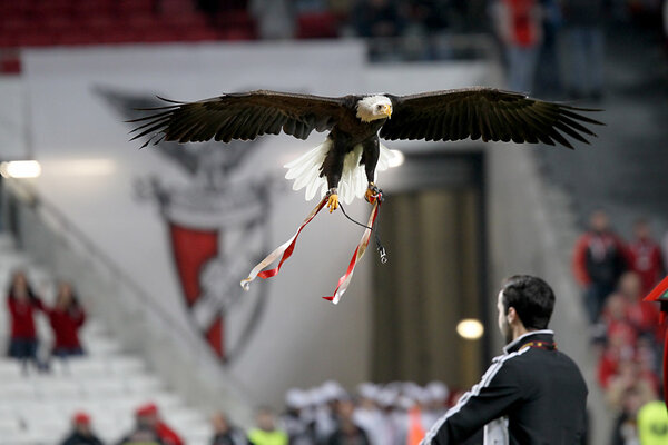 BENFICA SL VS PAOK THESSALONIKI UEFA EUROPA LEAGUE
