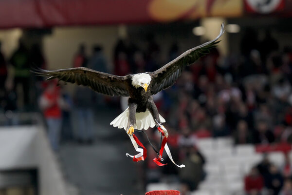 BENFICA SL VS PAOK THESSALONIKI UEFA EUROPA LEAGUE
