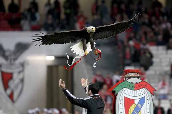 Benfica sl vs paok Salonicco uefa europa league — Foto Stock