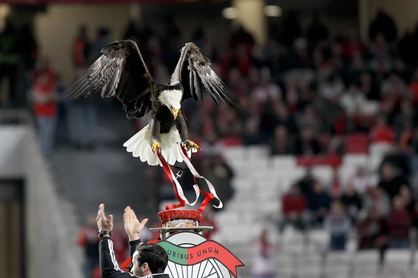 Benfica sl vs paok Salonicco uefa europa league — Foto Stock