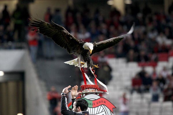 BENFICA SL VS PAOK THESSALONIKI UEFA EUROPA LEAGUE
