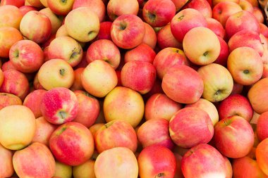 bir yığın çok taze crabapple