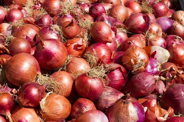 pek çok kırmızı soğan bir yığın. yakın çekim