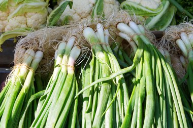 display.close üstünde chives ile yeşil soğan