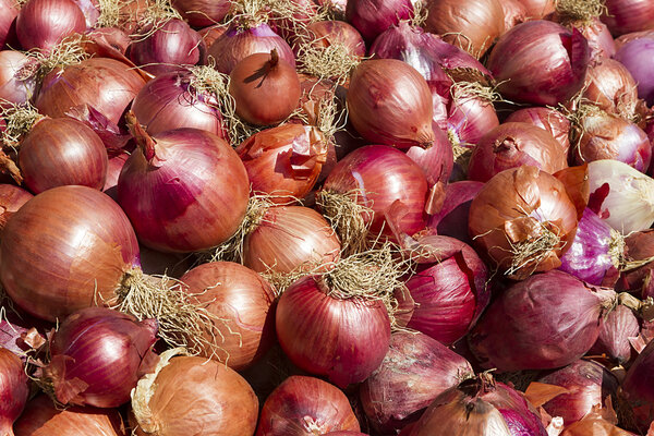 Many red onions in a pile. Close up