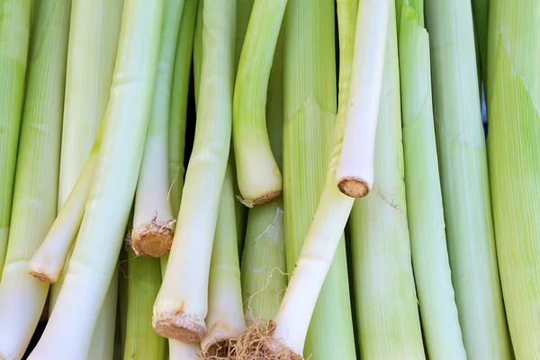 Pile of leek in the street market — Stock Photo, Image