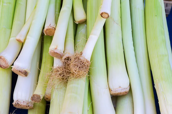 Pile of leek in the street market — Stock Photo, Image