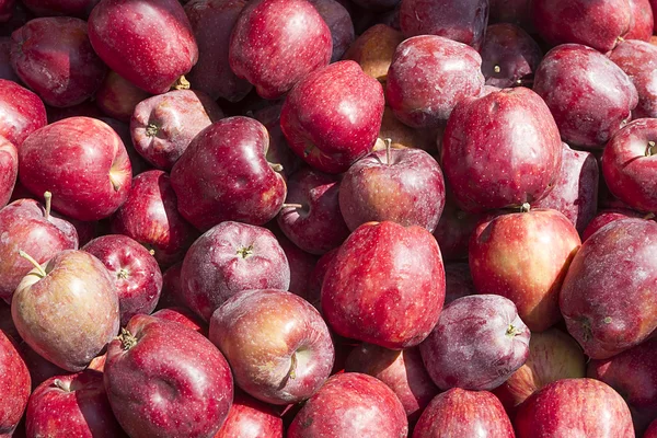 Vele verse rode appel in een stapel — Stockfoto