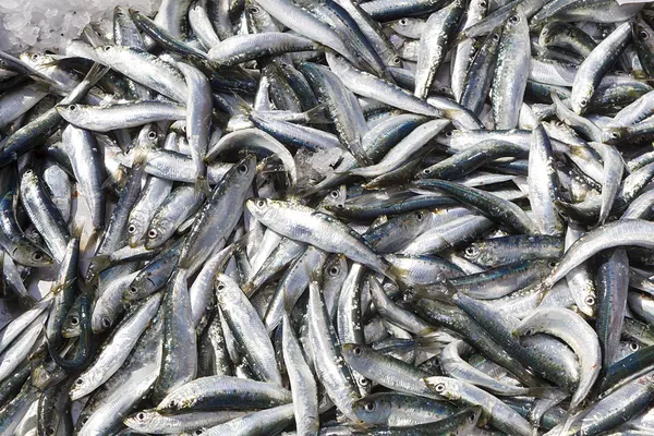 Fresh fishes in a market. Close up — Stock Photo, Image