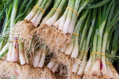 green onion with chives on display.Close up clipart