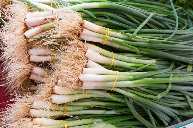 display.close üstünde chives ile yeşil soğan