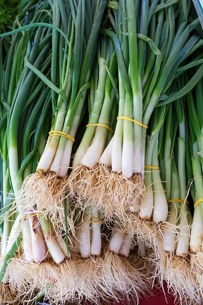 Green onion with chives on display.Close up — Stock Photo, Image
