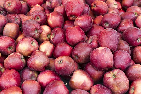 Vele verse rode appel in een stapel — Stockfoto
