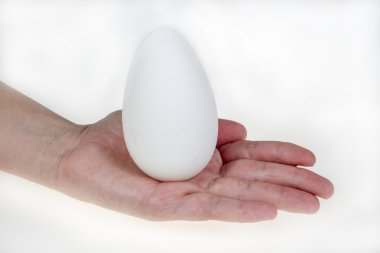 ręka trzyma duże jaja gęsi, na białym tle