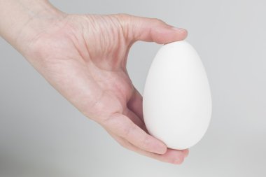 ręka trzyma duże jaja gęsi, na białym tle