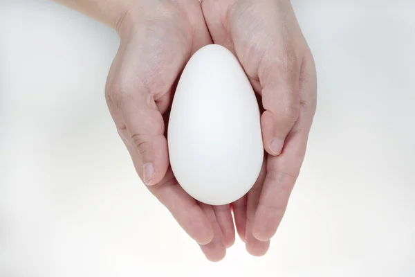 Рука держит большое гусиное яйцо, изолированное на белом фоне — стоковое фото