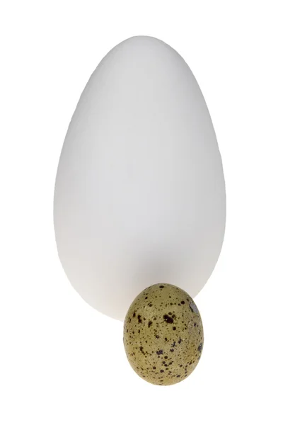 Goose egg and a quail egg — Stock Photo, Image