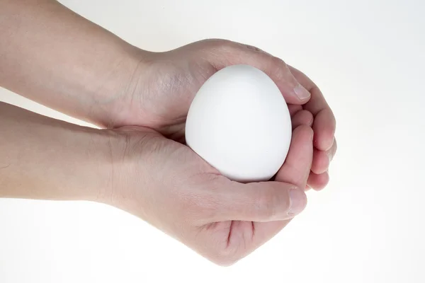 Hand holding big goose egg, isolated on white background — Stock Photo, Image