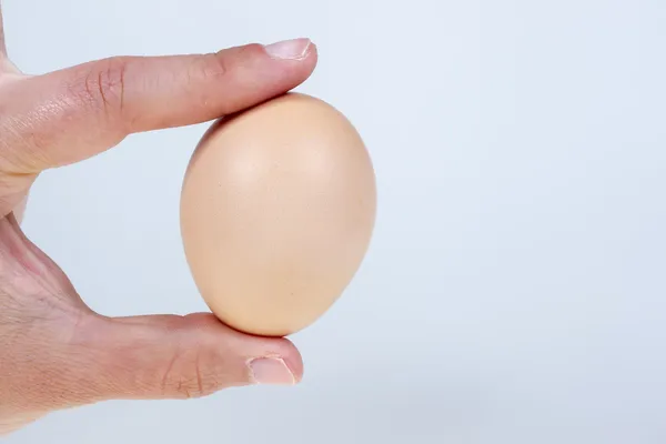 Hand holding hen egg, isolated on white background — Stock Photo, Image