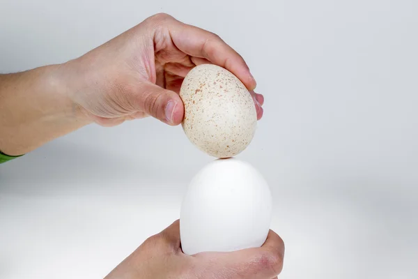 Ruka drží vejce husí a kachní vejce, izolovaných na bílém poza — Stock fotografie