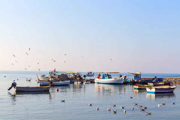 Möwen fliegen über Boote in Thessaloniki, Griechenland. — Stockfoto