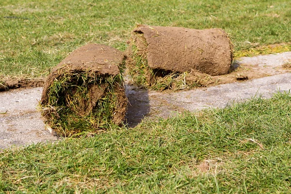 Торф трави рулонах — стокове фото