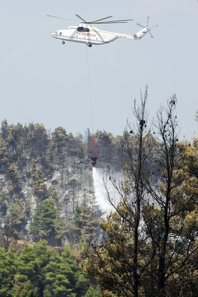 Fire-fighting plane fights a forest fire on 24 August 2006 rippi