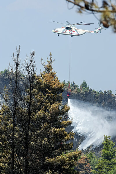 Fire-fighting plane fights a forest fire on 24 August 2006 rippi