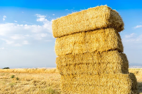 Piled hay bales on a field against blue sky with clouds. — Stock Photo, Image