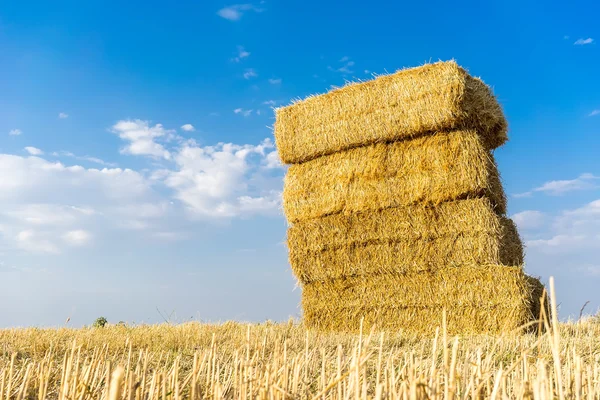 Piled hay bales on a field against blue sky with clouds. — Stock Photo, Image