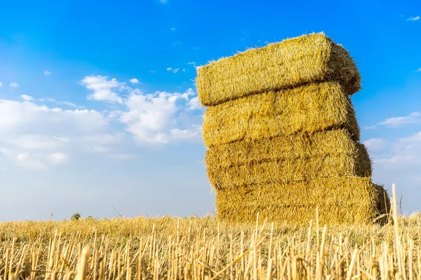 Piled hay bales on a field against blue sky with clouds. — Stock Photo, Image