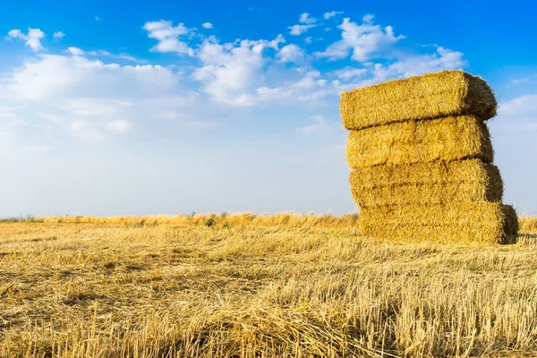 Piled hay bales on a field against blue sky with clouds. — Stock Photo, Image