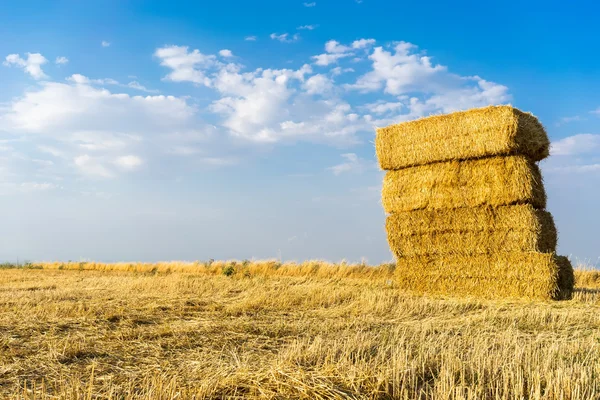 Piled hay bales on a field against blue sky with clouds. — Stock Photo, Image