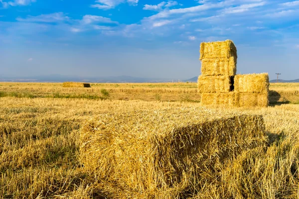 Piled hay bales on a field against blue sky with clouds. — Stock Photo, Image