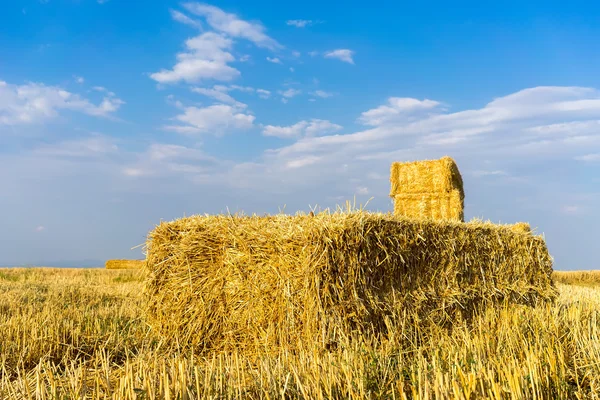Piled hay bales on a field against blue sky with clouds. — Stock Photo, Image