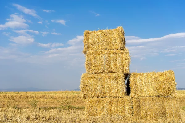 Piled hay bales on a field against blue sky with clouds. — Stock Photo, Image