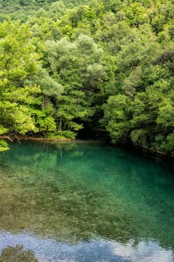 epirus r akan voidomatis nehrinin yeşil suları