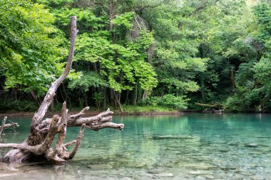epirus r akan voidomatis nehrinin yeşil suları