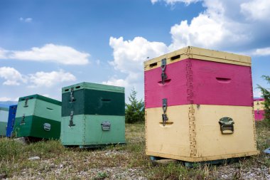 bulutlu gökyüzü karşı yeşil alan, arı kovanı. 