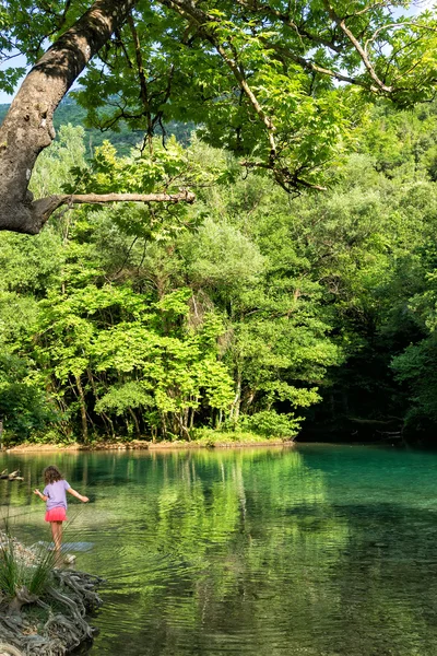 Зеленые воды реки Войдоматис, протекающей через Эпир r — стоковое фото