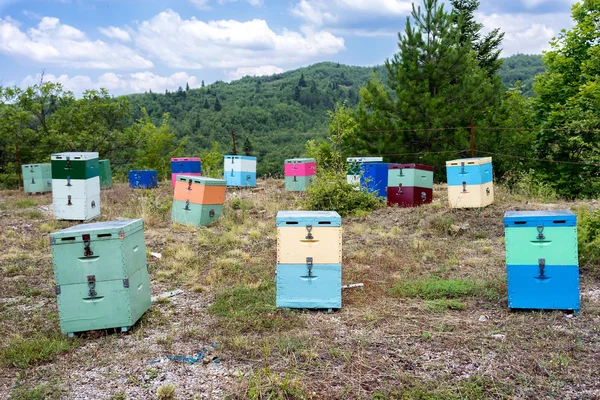 Beehives at green field against cloudy sky. — Stock Photo, Image