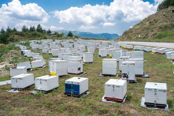 Beehives at green field against cloudy sky. — Stock Photo, Image