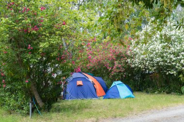 kamp karavan ve çadır içinde yaz. 