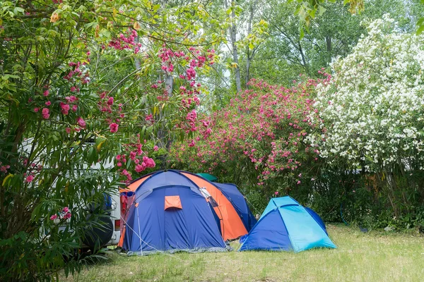 Acampamento com caravana e tenda no verão . — Fotografia de Stock