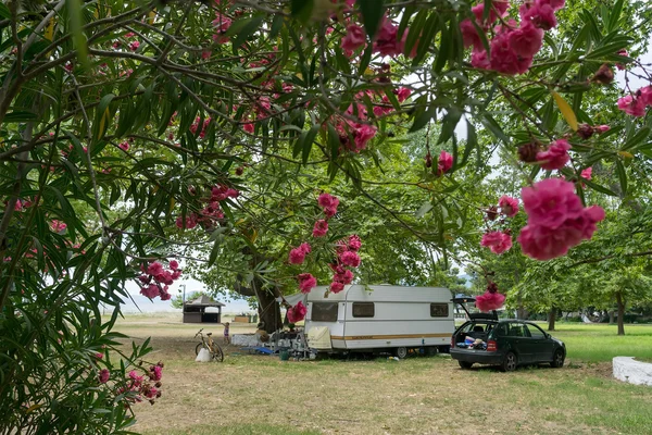 Caravana em acampamento organizado no verão em Asprovalta, Greec — Fotografia de Stock