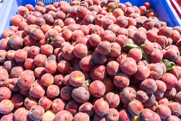 Freshly harvested peaches in a crate — Stock Photo, Image