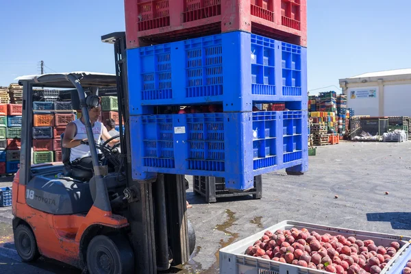 A worker transporting boxes with fruits of Agricultural Cooperat — Stock Photo, Image