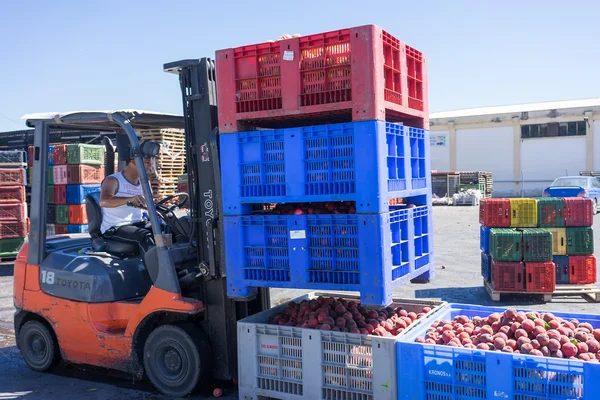 Um trabalhador que transporta caixas com frutos da Cooperação Agrícola — Fotografia de Stock